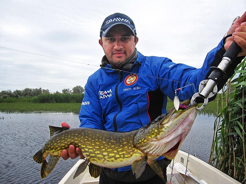 Pescuiesc la stiuca - Stiuca de Periprava